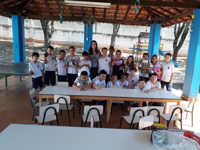 meio_ambinete_trocas_brinquedos